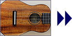 FGN Acoustic Soprano FUS-TS