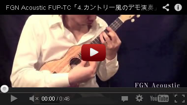 FGN Acoustic Concert FUP-TC 「カントリー風のデモ演奏」