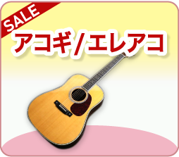 アコースティックギター / エレアコ