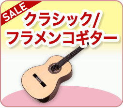クラシックギター / フラメンコギター