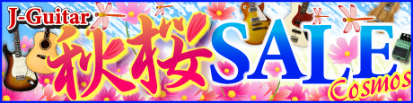 J-Guitar 秋桜（コスモス）SALE 2025