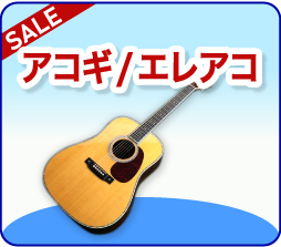アコースティックギター / エレアコ
