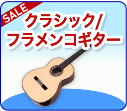 クラシックギター / フラメンコギター