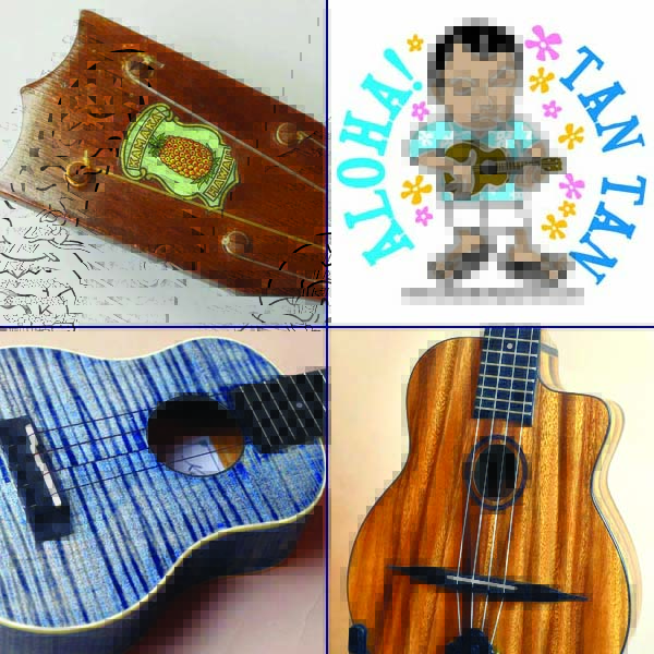Ukulele Shop TANTAN お茶の水店 / 東京都千代田区
