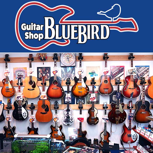 Guitar Shop Bluebird(ギターショップ ブルーバード)/ 神奈川県川崎市