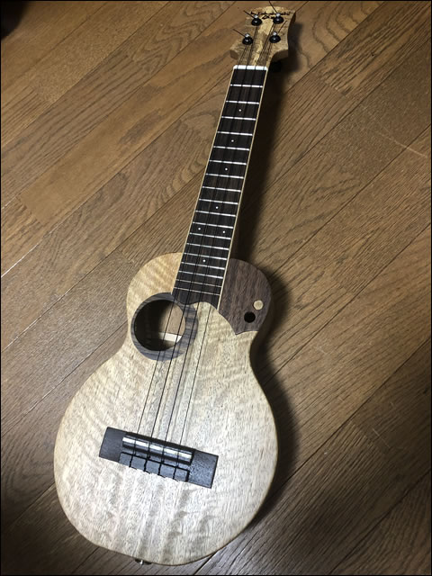 K.TAKAHASHI UKULELE (ウクレレ)|東京メトロ銀座線 末広町駅にて浅草方面行きの車内