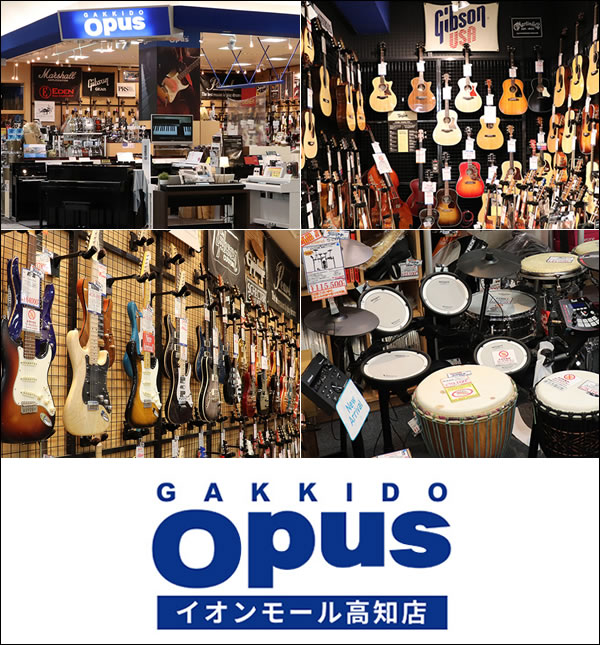 楽器堂オーパス イオンモール高知店 高知市秦南町